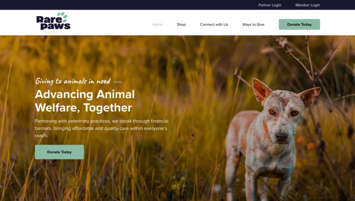 Rare Paws Charity Website Homepage