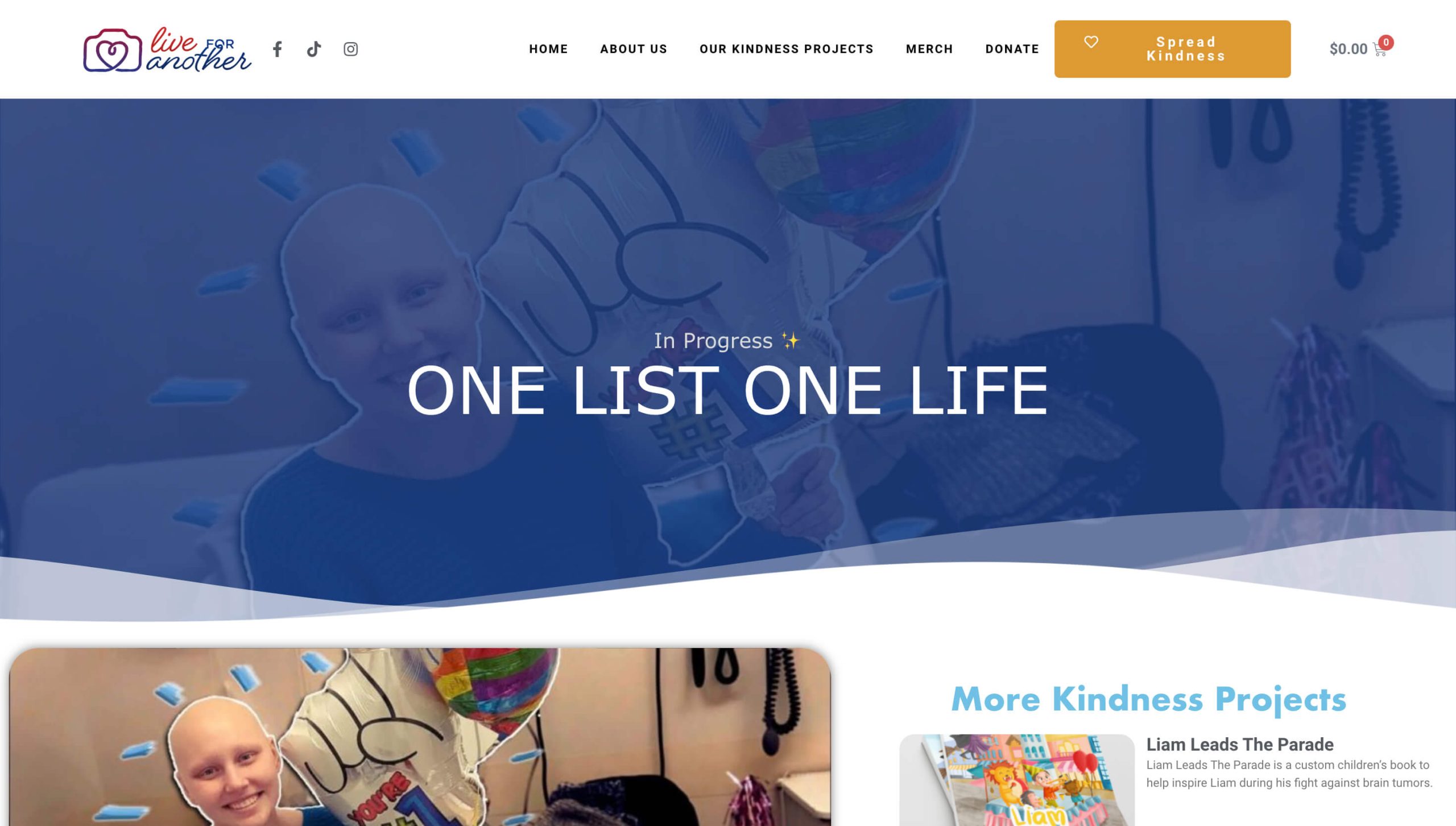 One List One Life Website Homepage