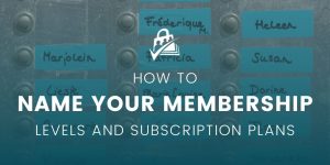 How To Name Your Membership Levels Or Subscription Plans