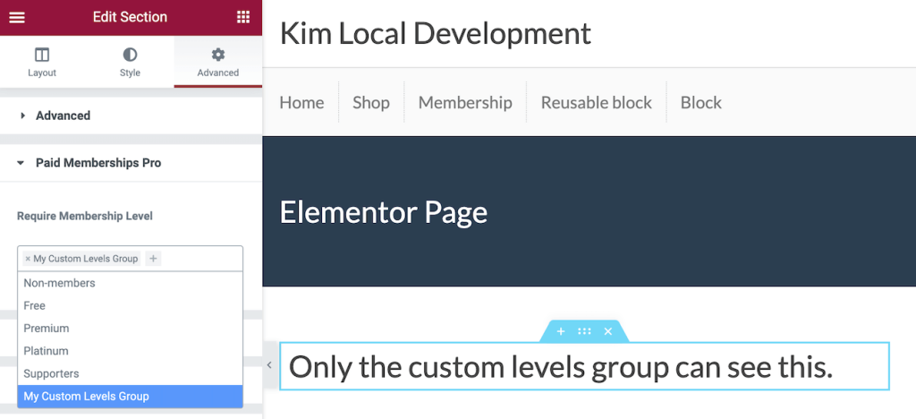 Screenshot in Elementor under Advanced Settings for Custom Level Group selection