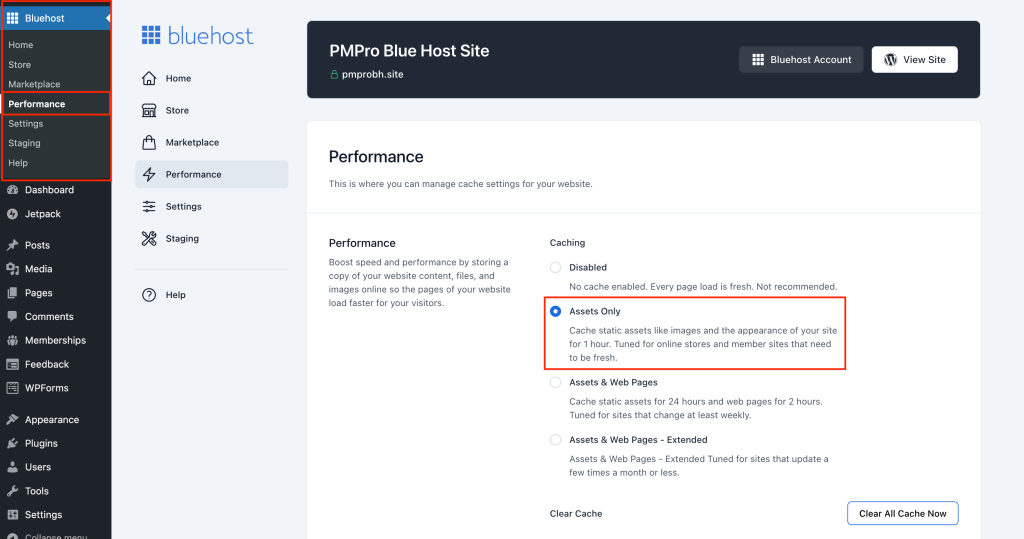 Screenshot of WP Admin backend for Bluehost caching settings