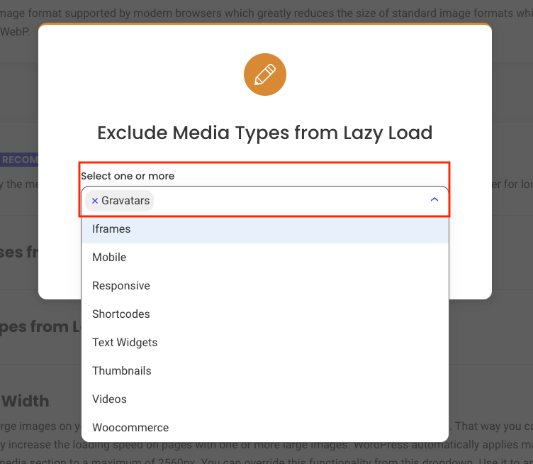 Screenshot of exlcuding media type gravatar in lazy load settings