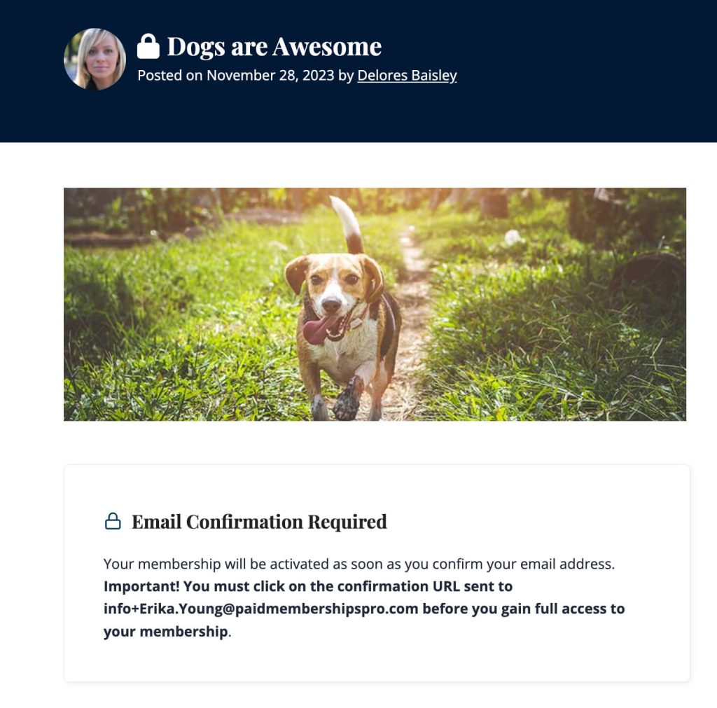 Screenshot of protected content when a member needs to confirm email address.