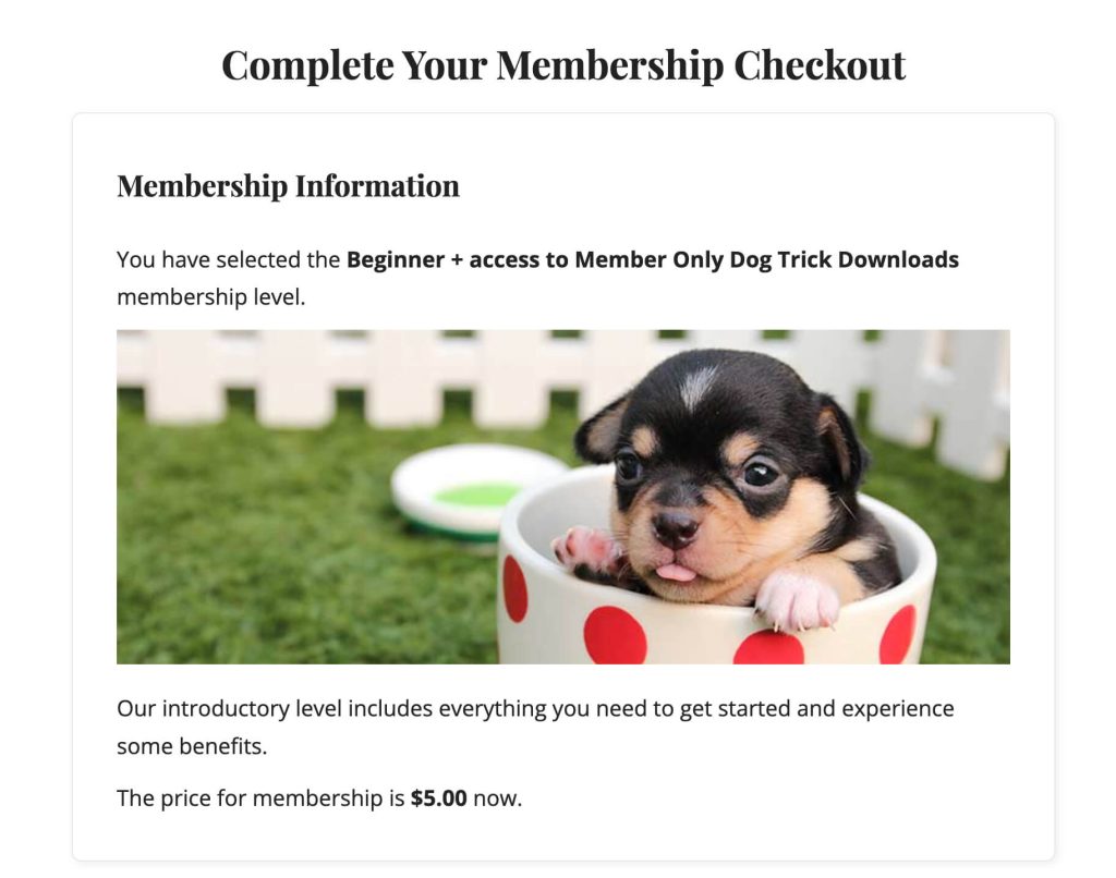 Screenshot of Membership Checkout for the Addon Package option