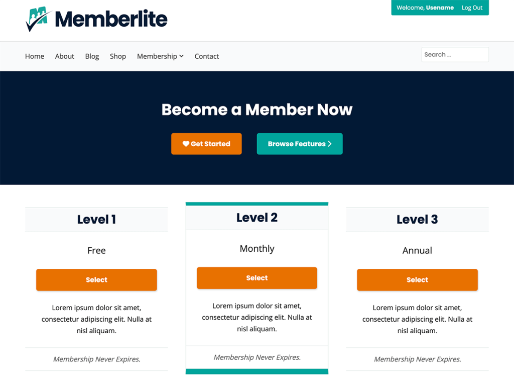 Screenshot of the Memberlite Theme landing page