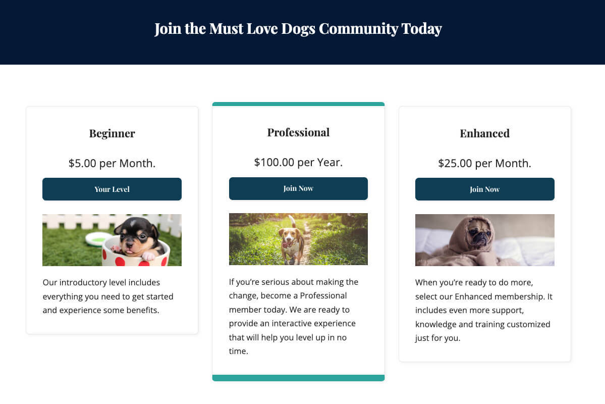 Screenshot of pricing table at Must Love Dogs demo site highlighting the Professional level